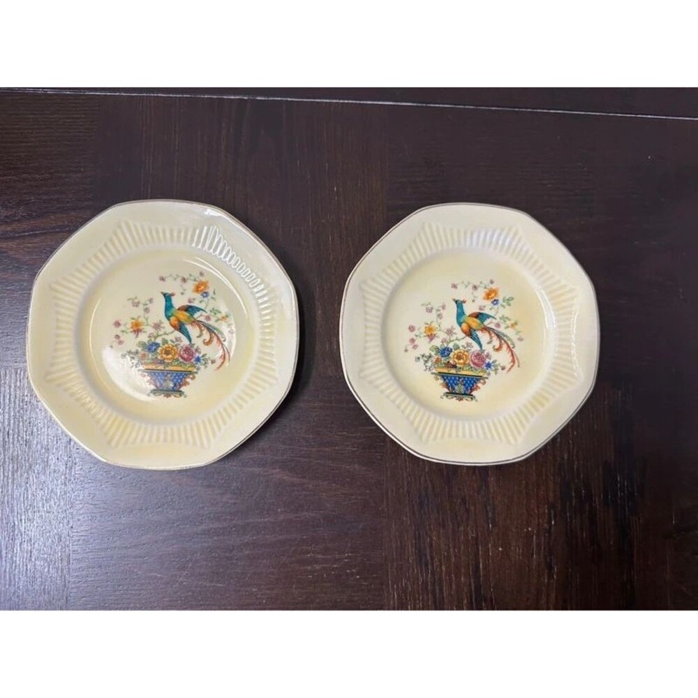 Vintage Salem Antique Ivory Bird of Paradise Plates Set 2 Gold Trim 6"